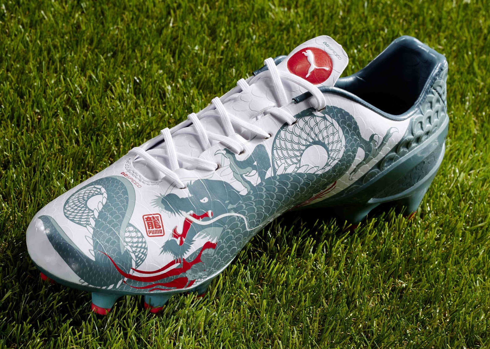 Puma EvoSpeeds 1.3 emulate the Dragon